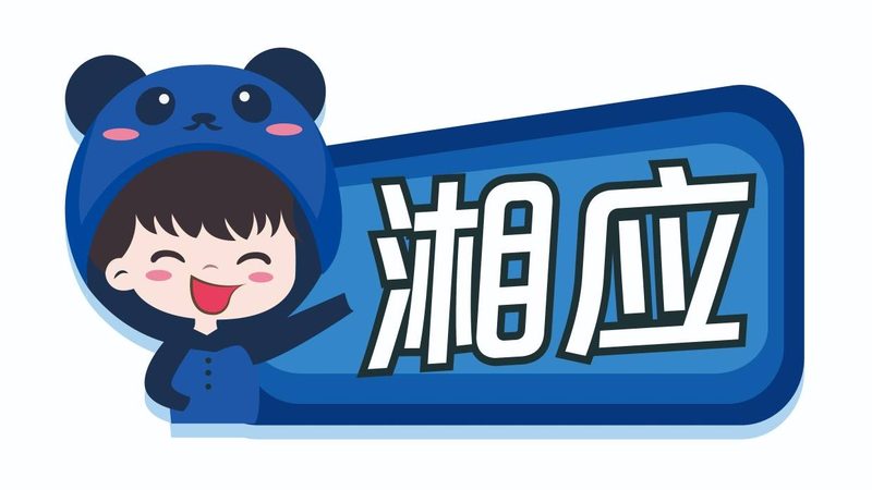 信息技术公司股权分配：法律风险与合规要点**